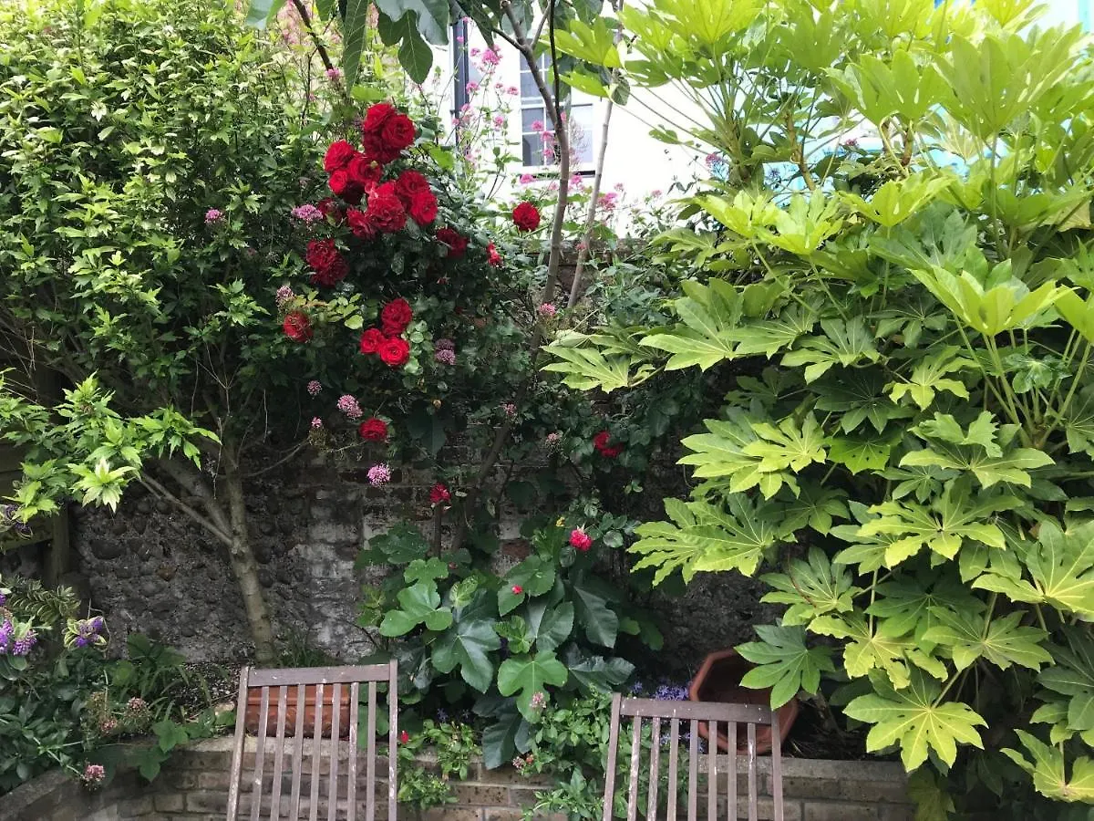Apartment Amazing Apartment, Private Garden, Off Street Parking Brighton